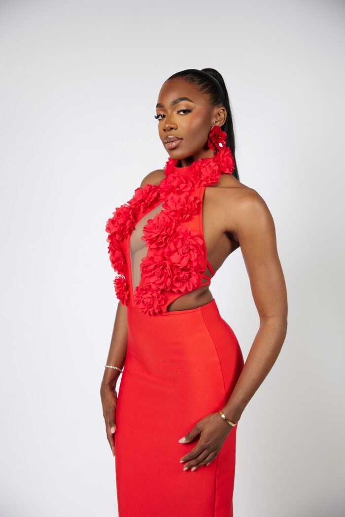Arden robe longue