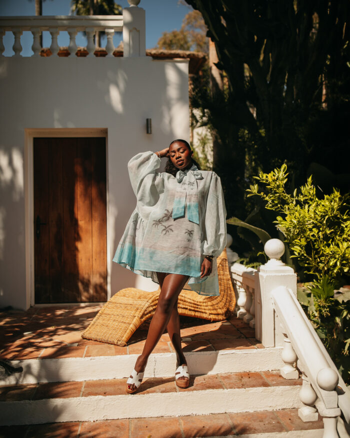 Kamila mini dress – Image 4