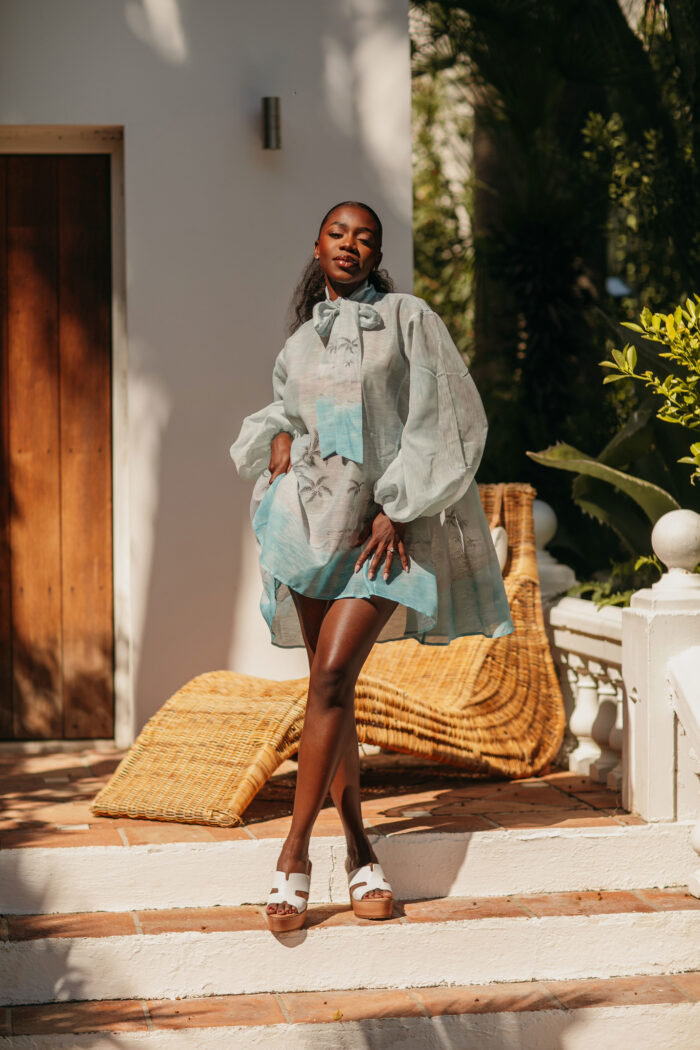 Kamila mini dress