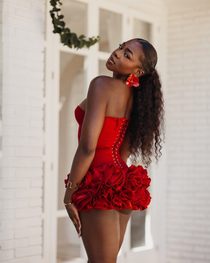 Dakota mini dress – Image 2
