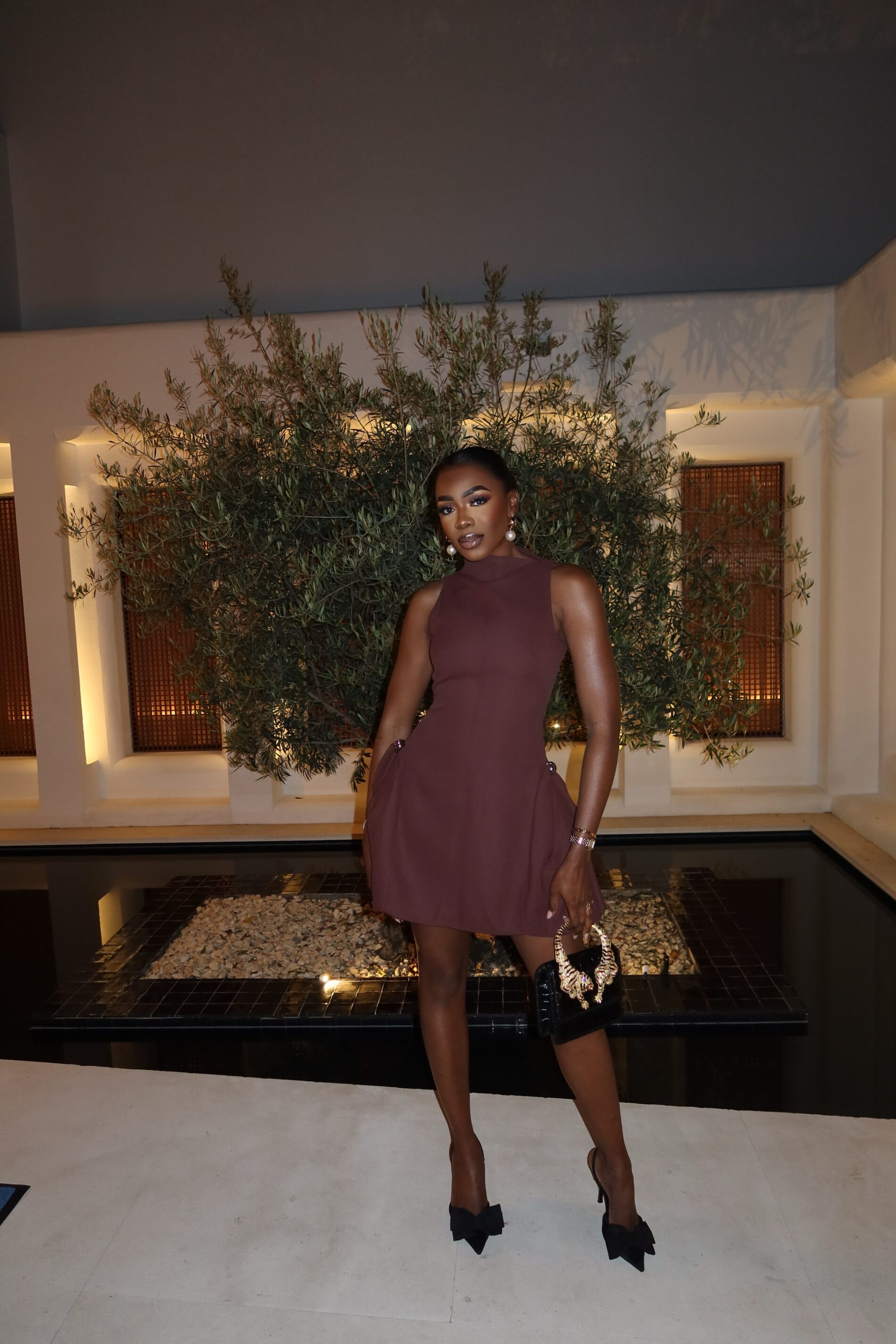Anya mini dress